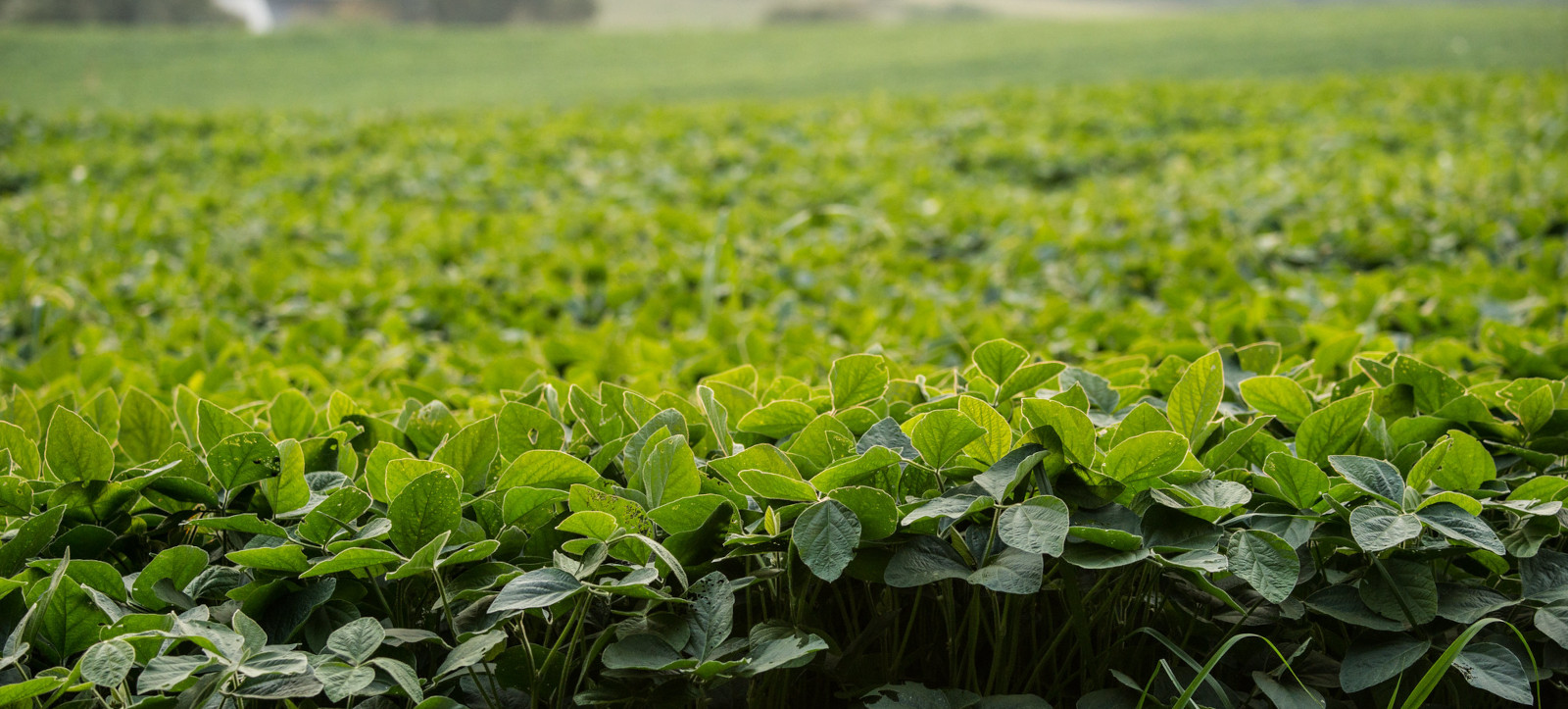 USDA Photo by Lance Cheung.