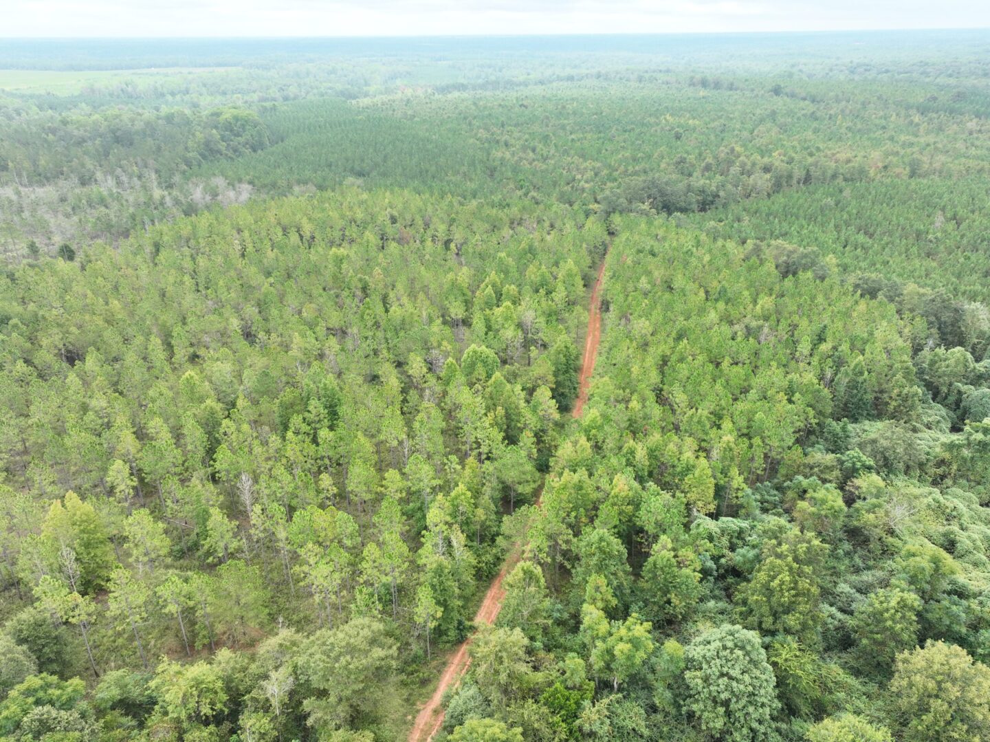 160+/ Total Acres Randolph County, Barfield Auctions