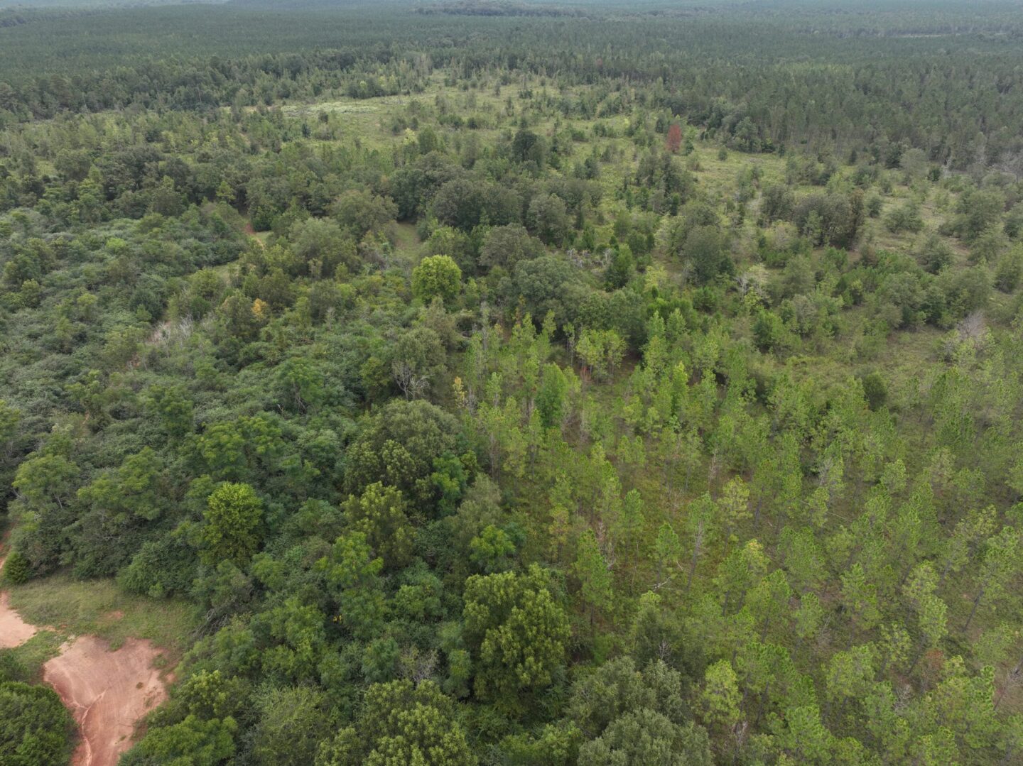 160+/ Total Acres Randolph County, Barfield Auctions