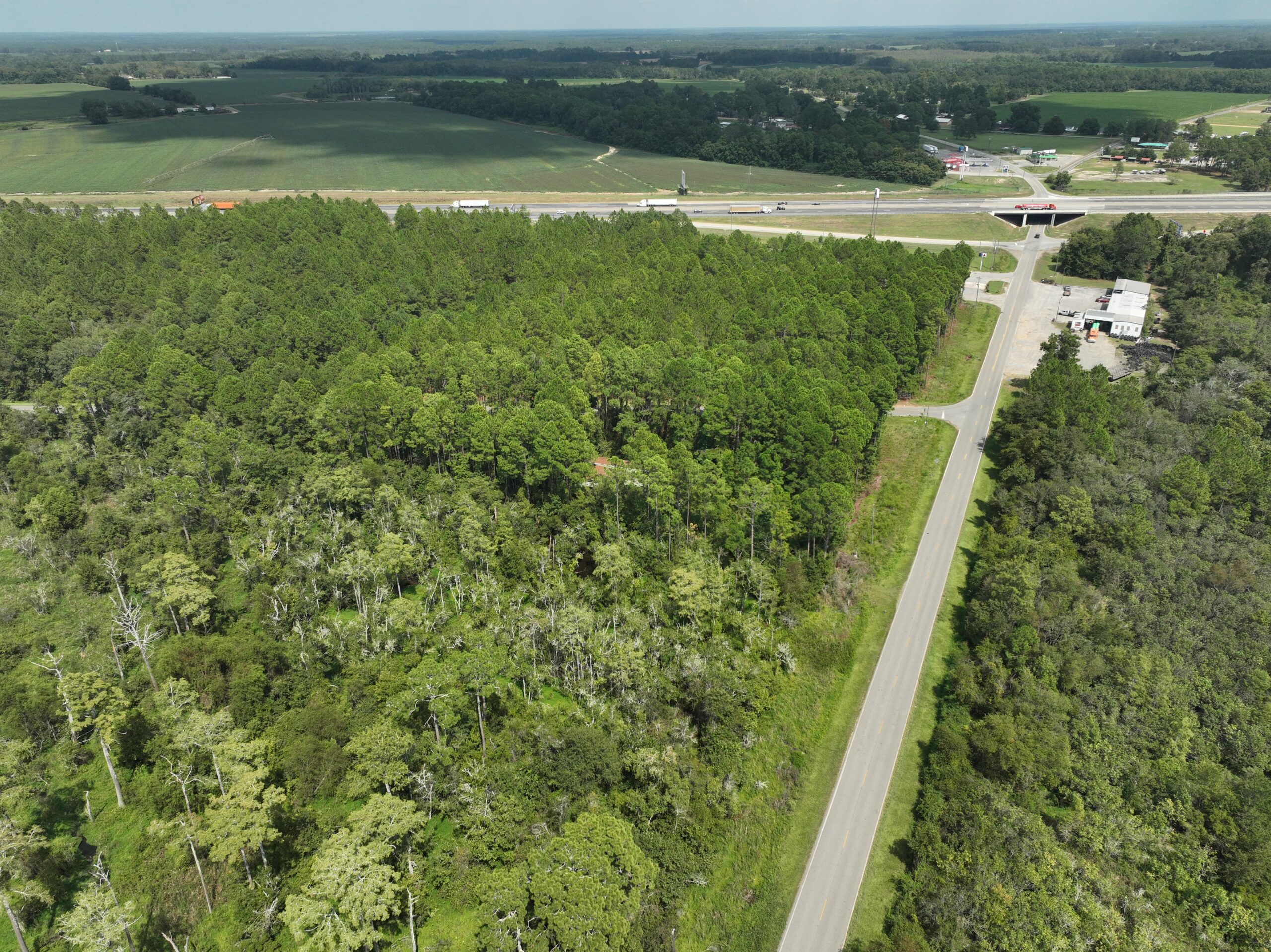 9+/ Total Acres Turner County, GA Barfield Auctions